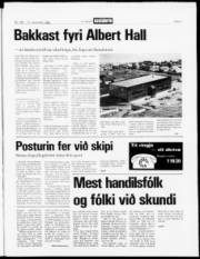 Síða 3