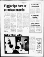 Síða 6