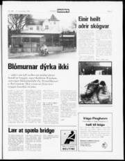 Síða 7