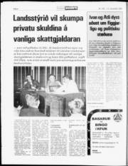 Síða 8