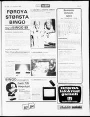 Síða 17