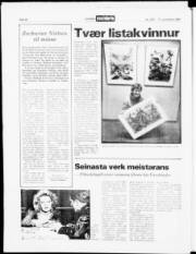 Síða 20