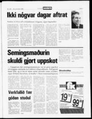 Síða 3