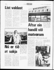 Síða 6
