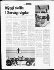 Síða 12