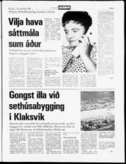 Síða 3