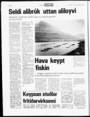 Síða 6