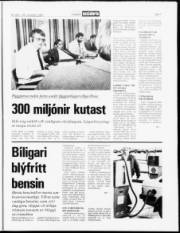 Síða 7