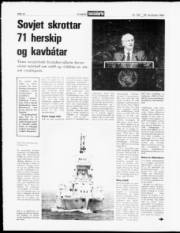 Síða 12