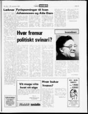 Síða 15
