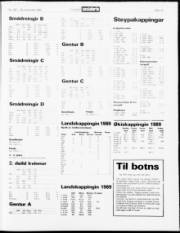 Síða 19