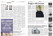 Síða 22