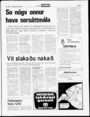 Síða 3
