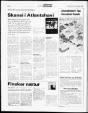 Síða 4
