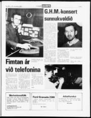 Síða 7