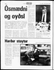 Síða 8
