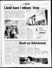 Síða 11