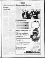 Síða 17