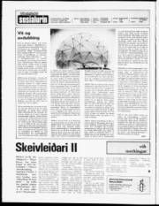 Síða 2