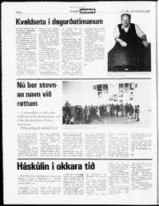 Síða 4