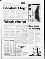 Síða 5