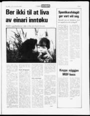 Síða 7