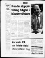 Síða 8