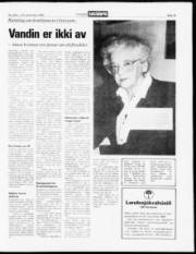 Síða 13