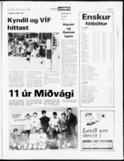 Síða 17