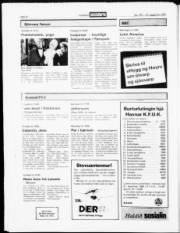 Síða 22