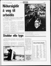 Síða 5
