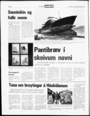 Síða 4
