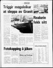 Síða 5