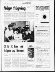 Síða 11