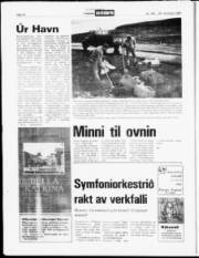 Síða 14