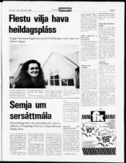 Síða 3