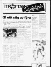 Síða 15