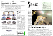 Síða 10