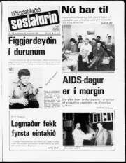 Síða 1