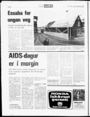 Síða 8