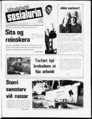 Síða 1