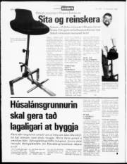 Síða 4