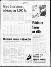 Síða 5