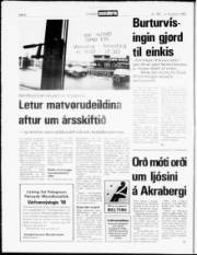 Síða 6