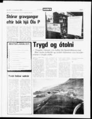 Síða 3