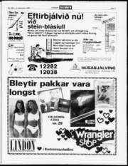 Síða 11