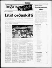 Síða 15
