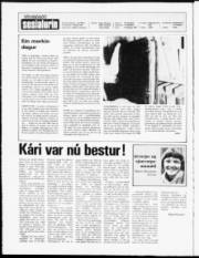 Síða 2