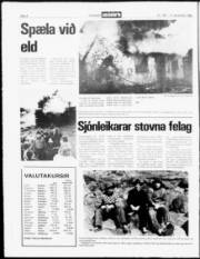 Síða 4
