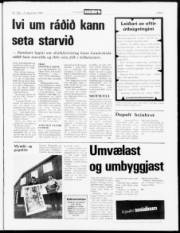 Síða 5